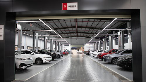 比亚迪自营车险首单落地 比传统险企省600元，这事儿靠谱吗？
